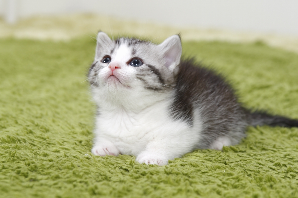 わかりやすくご説明します